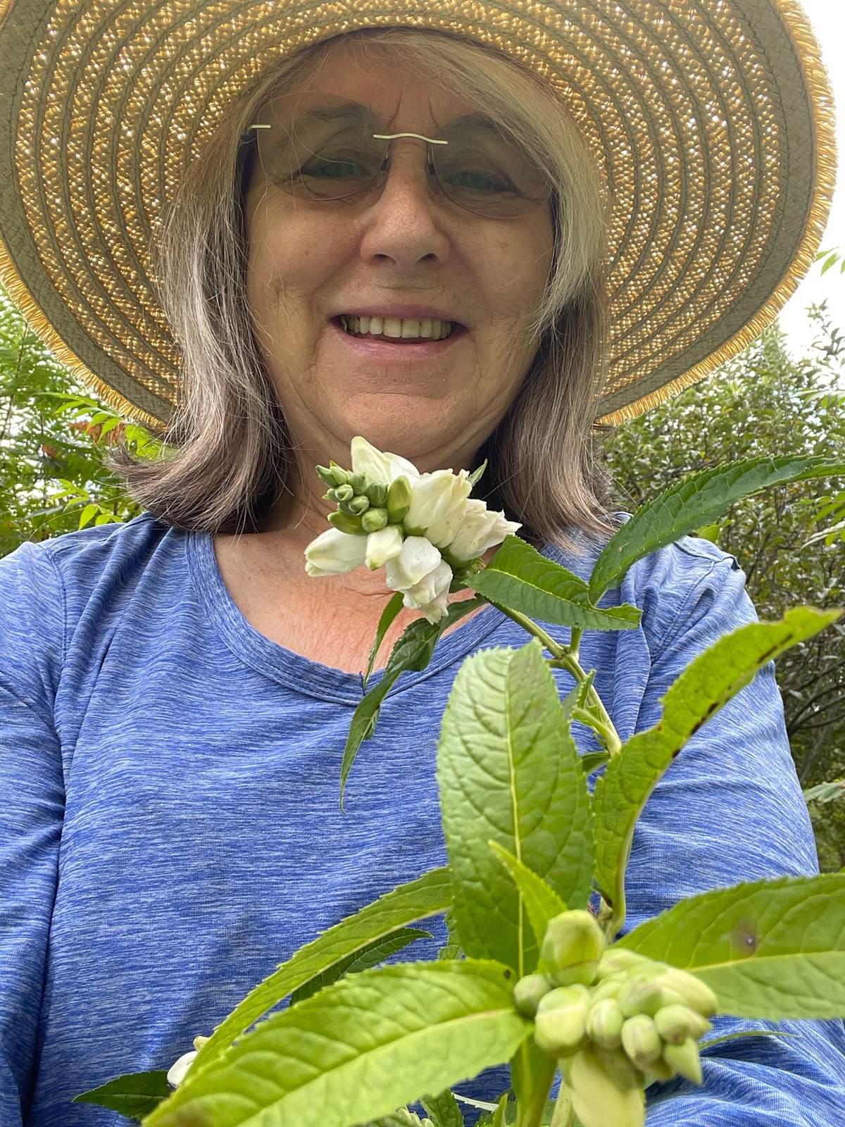 White Turtlehead in the garden
